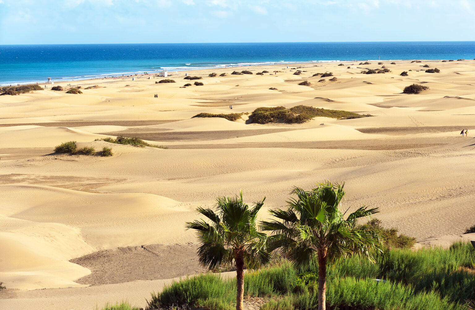 dunes maspalomas