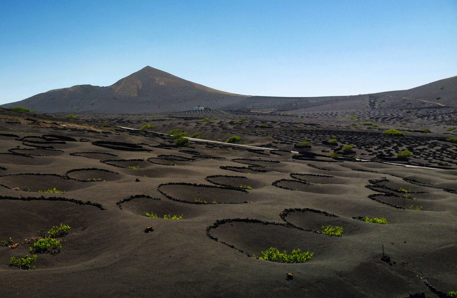 lanzarote vigna